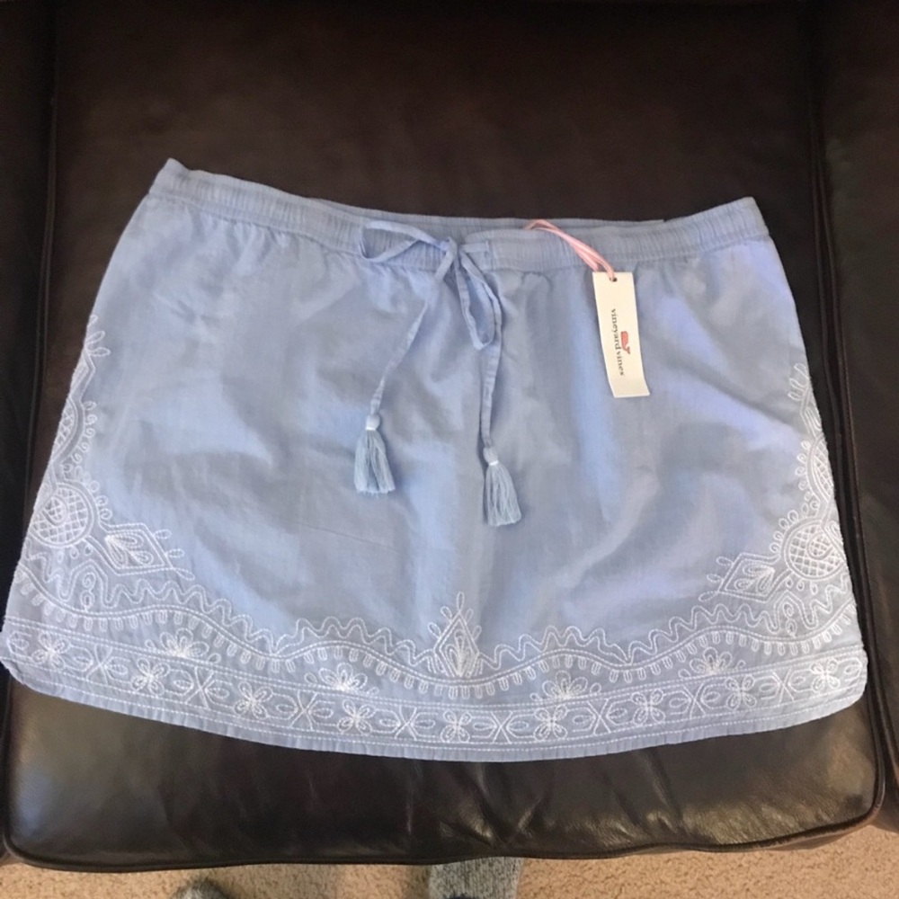 Blue Embroidered Skirt
